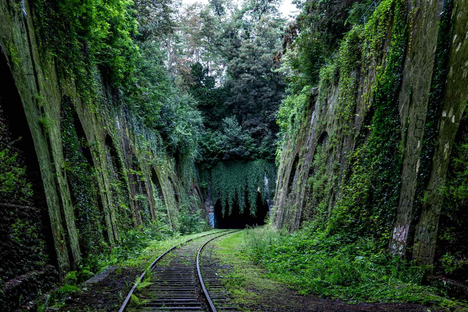 Old train tracks leading to a tunnel and lot's of greenery.